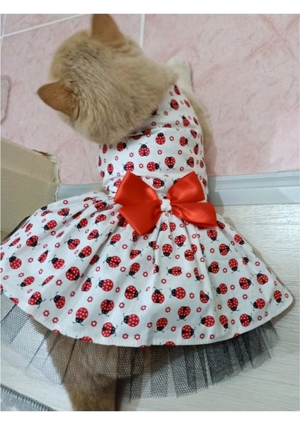 Uğur Böceği Desenli Papyonlu Kedi ve Köpek Kıyafeti Elbisesi