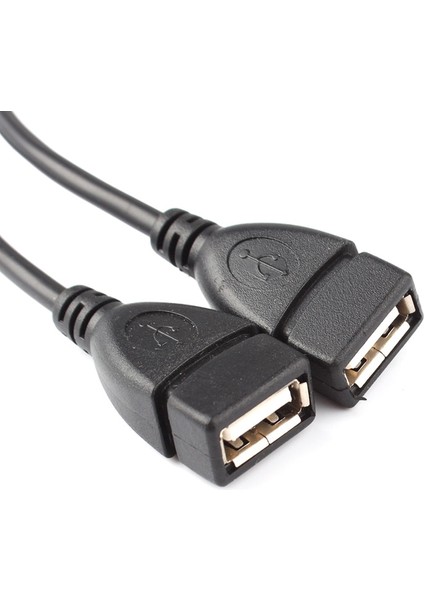 USB 2.0 A Erkek - 2 Çift Çift USB Dişi Splitter Kablo Uzatma Hub Şarj Cihazı Sync D #78970 (Yurt Dışından) indirimleri