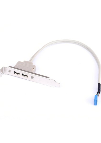 2 Port USB 2.0 Ila 9 Pin Anakart Başlık Braketi Uzatma Kablosu Bilgisayar Arka Panel Braketi 9pin Sıcak Satış Adaptörü Yeni (Yurt Dışından)