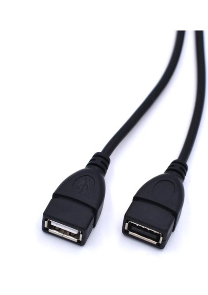 35 cm USB 2.0 Erkekten Çift USB Dişi Jack Splitter 2 Port USB Hub Şarj + Veri Kablosu (Yurt Dışından)