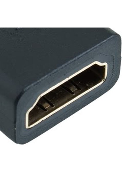 1 Adet HDMI Dişi Mikro HDMI Tip D Erkek Adaptör F/m Dönüştürücü Konektörü Hd Tv Kamera (Yurt Dışından)