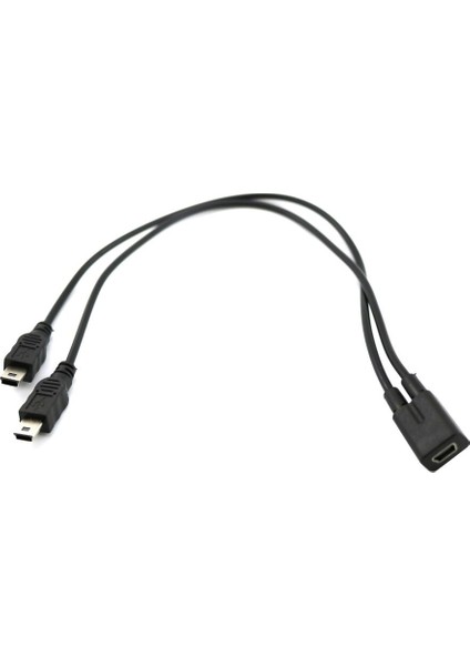 1 Ila 2 Y Ayırıcı Kablo USB 2.0 Mini 5-Pin Dişi - Çift 2 Erkek Dönüştürücü (Yurt Dışından)