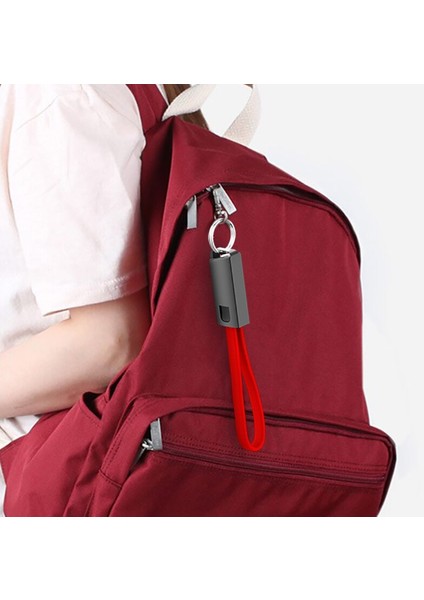 Vaorlo Anahtarlık Kordon 2.4A Hızlı Şarj Kablosu Mikro USB Tip-C Şarj Cihazı USB Veri Kablosu 22CM Taşınabilir Xiaomi Samsung iPhone Için (Yurt Dışından) fiyatları