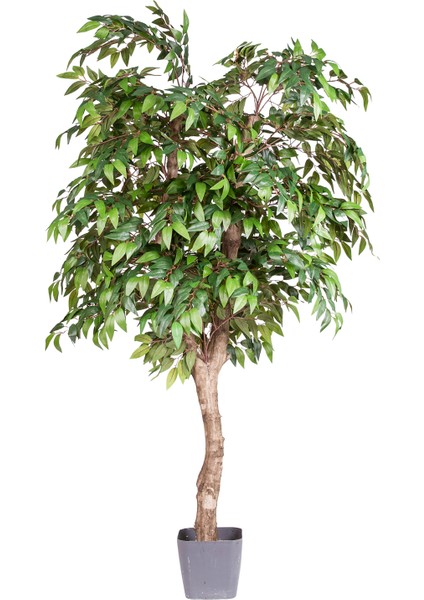 Yapay Smilax Ağacı Tek Gövde Yeşil 140 Cm.
