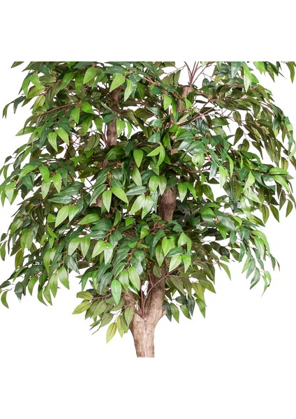 Yapay Smilax Ağacı Tek Gövde Yeşil 140 Cm. fiyatları