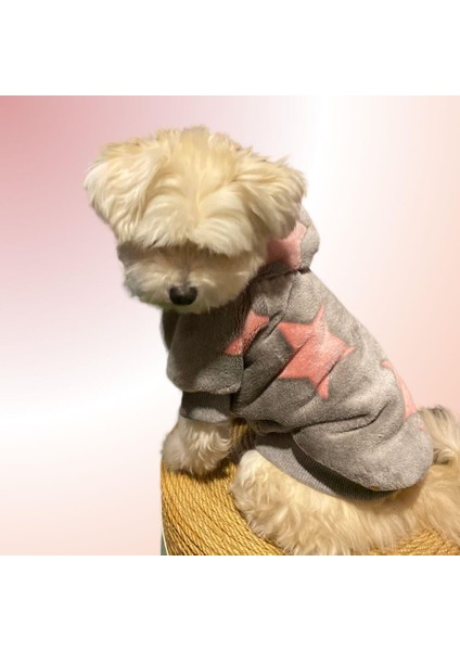 Biggie Küçük Irk Köpek Pofuduk Sweatshirt