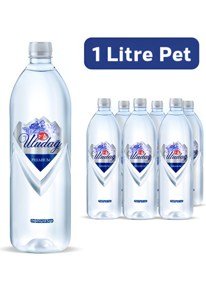 Su Premium Şişe 1 lt Paket Su