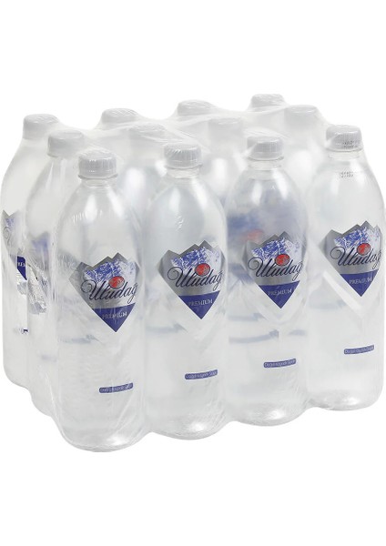 Su Premium Şişe 1 lt Paket Su fırsatları