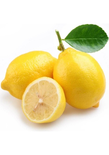 Meyve Verme Yaşında Tüplü Kokulu Tatlı Limon/şeker Limon Fidanı (Sınırlı Stok)