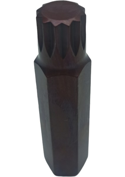M16 Uzun Alyan
