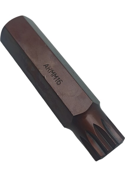 M16 Uzun Alyan
