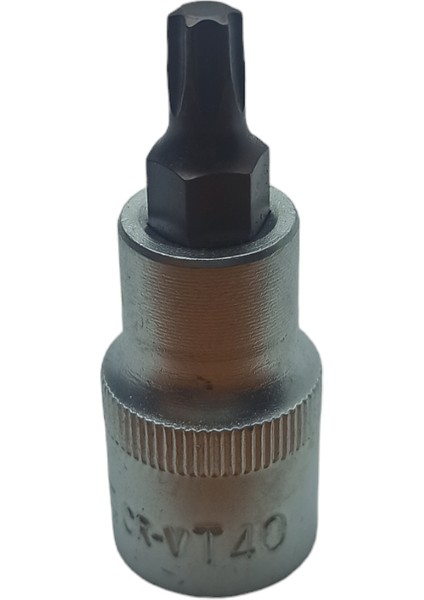 Lokmalı T40 Alyan