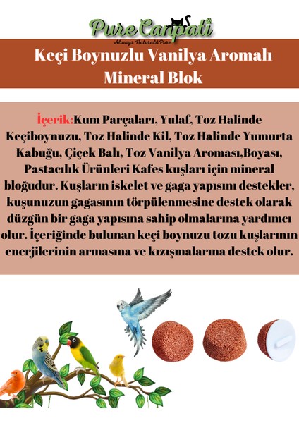 Premium Muhabbet,Paraket,Kanarya Kuşu Gaga T Seti modelleri