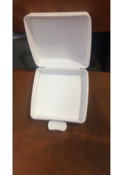 Beslenme Dino modelleri