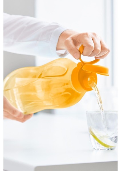 Eco+ Şişe Kk 2l Papaya fiyatları