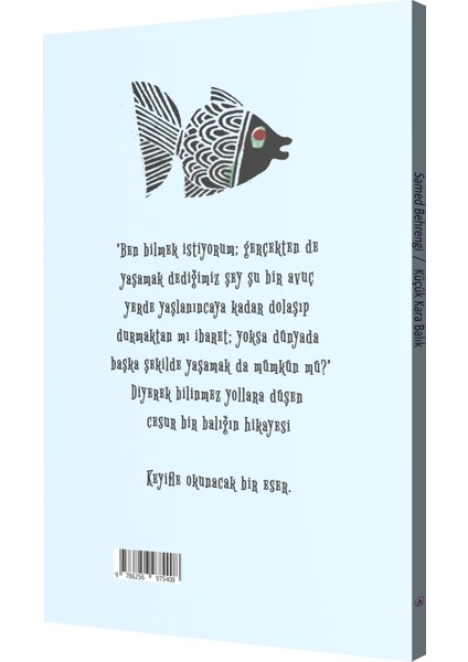 Küçük Kara Balık