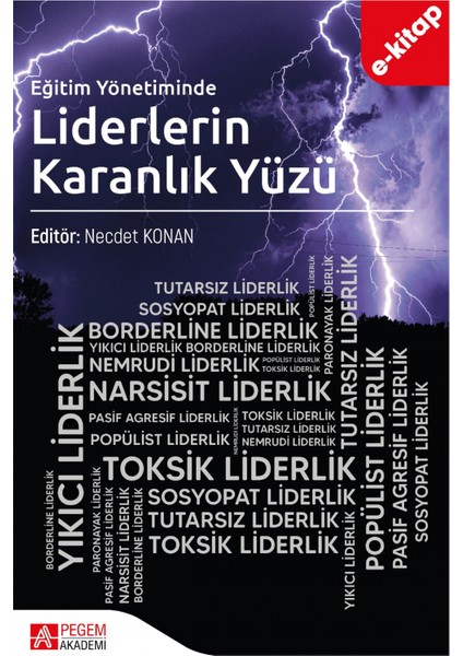 Eğitim Yönetiminde Liderlerin Karanlık Yüzü (e-kitap)