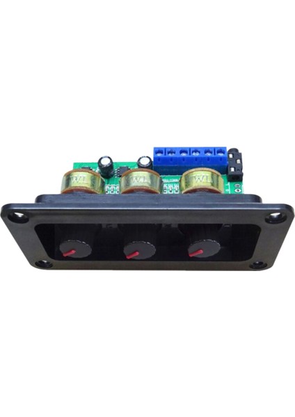 Dijital Amplifikatör Kartı NS4110B 2X20W Hıfı Amplificador, Panelli (Yurt Dışından)