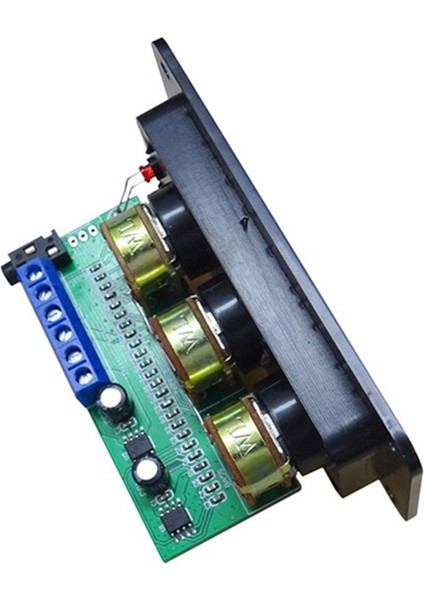Dijital Amplifikatör Kartı NS4110B 2X20W Hıfı Amplificador, Panelli (Yurt Dışından)