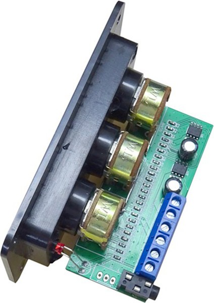 Dijital Amplifikatör Kartı NS4110B 2X20W Hıfı Amplificador, Panelli (Yurt Dışından)