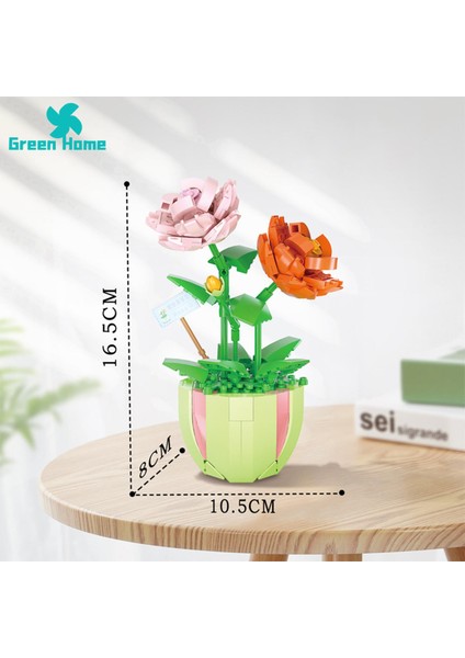 Yeşil Ev Dıy Çiçek Blokları Dıy Tuğla Kaktüs Yasemin Bonsai Çocuk Eğitici Oyuncaklar (Yurt Dışından)