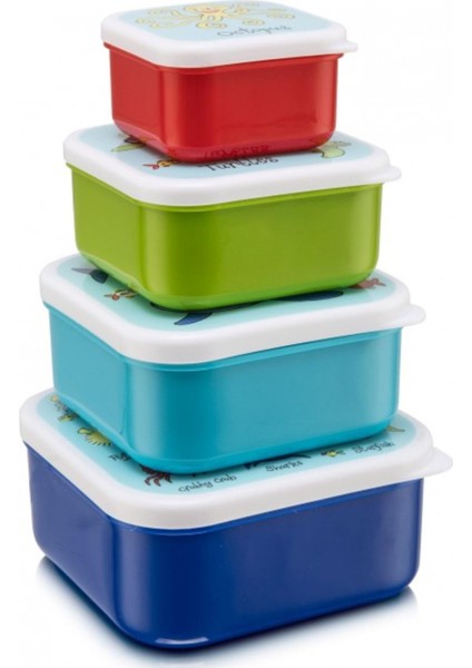 4 lü Beslenme Kutusu Ocean modelleri