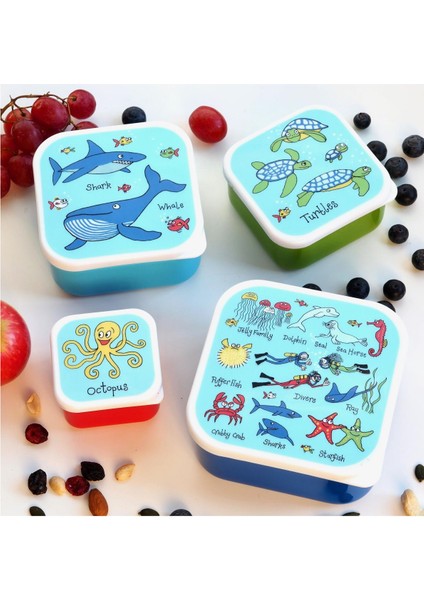 4 lü Beslenme Kutusu Ocean