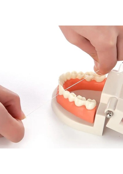 Nude Tarzı Taşınabilir 50M Mikro Ağda Diş Ipi Interdental Fırça Diş Çubuğu Kürdan Flok Diş Pensesinde Ağız Hijyeni Temiz Tel (Yurt Dışından) fırsatları