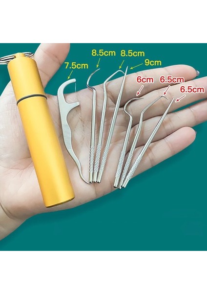 D Stili 1 Takım Kürdan Seti Metal Paslanmaz Çelik Ağız Temizleme Diş Ipi Taşınabilir Kürdan Ipi Diş Temizleyici Depolama Tüpü ile (Yurt Dışından) fiyatları