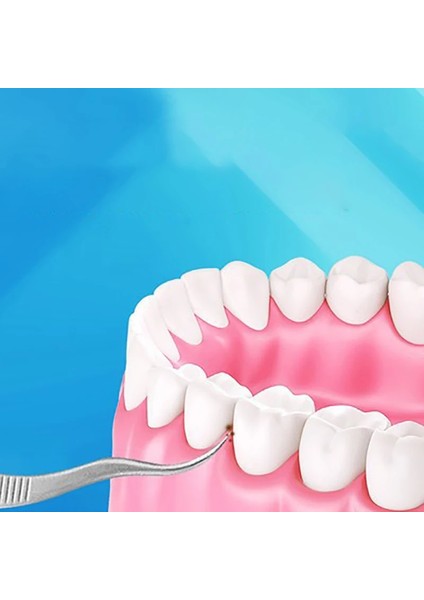 D Stili 1 Takım Kürdan Seti Metal Paslanmaz Çelik Ağız Temizleme Diş Ipi Taşınabilir Kürdan Ipi Diş Temizleyici Depolama Tüpü ile (Yurt Dışından) indirimleri