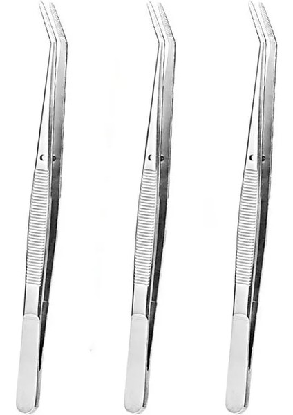 3 Adet Tarzı Et Paslanmaz Çelik Cımbız Teşhis Diş Muayenesi Ağız Bakım Seti Diş (Yurt Dışından)