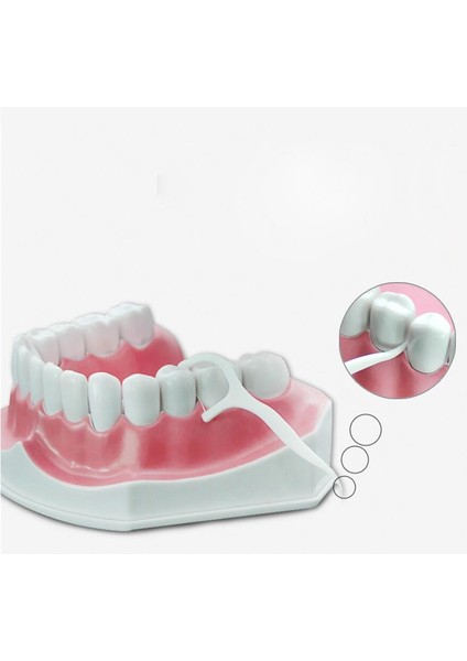 Fildişi Tarzı Diş Diş Arası Fırça Diş Plastik Diş Fırçası Yüksek Polimer Tel Tek Kullanımlık Kürdan Diş Ipi (Yurt Dışından) modelleri