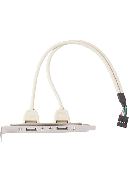30 cm 9 Pin Başlık Adaptörü Dişi Çift Bağlantı Noktalı USB 2.0 Dişi Vida Anakart Kilit Panel Montaj Kablosu Yüksek Kalite 2 Bağlantı Noktaları (Yurt Dışından) fiyatları