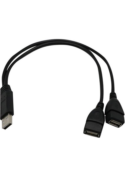 Sıcak 30 cm USB 2.0 A Erkek 2 Çift Dişi Jack Y Splitter Hub Güç Kablosu Adaptör Kablosu (Yurt Dışından) fırsatları