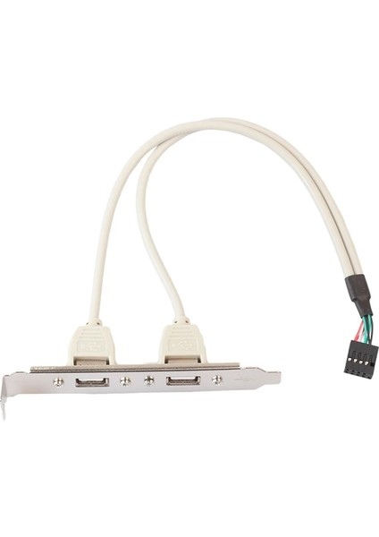 2 Port Usb2.0 Dişi 9 Pin Anakart Başlık Kablosu Adaptörü 30 cm USB Panel Kablosu Pc Masaüstü Bilgisayar (Yurt Dışından)