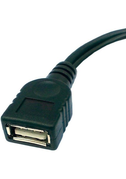 Fire Tv 3 Veya 2nd Gen Fire Stick Için 2 Adet USB Bağlantı Noktası Terminal Adaptörü Otg Kablo (Yurt Dışından)