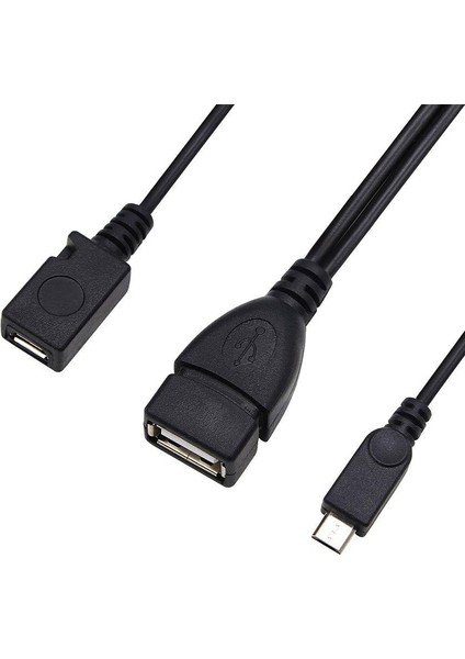 Fire Tv 3 Veya 2nd Gen Fire Stick Için 2 Adet USB Bağlantı Noktası Terminal Adaptörü Otg Kablo (Yurt Dışından)