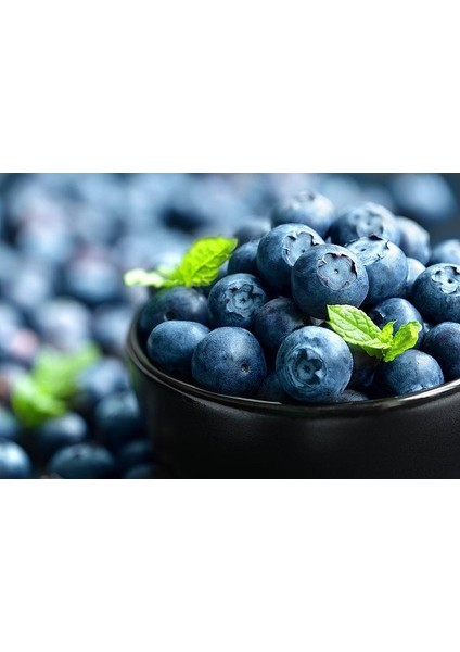 3 Adet Mavi Yaban Mersini Meyve Fidanı (50-60CM)