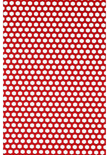 Kaydırmaz Kırmızı Bal Petek Paspas EN:90cm 90 x 220 cm