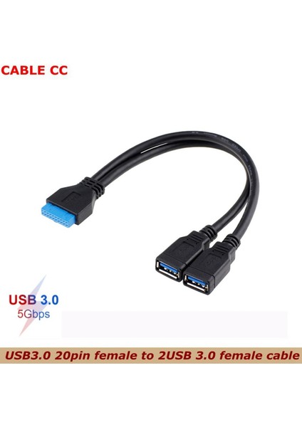 Masaüstü Bilgisayar USB 3.0 20-Pin Erkek 2 USB Dişi Kablo Asus P7P55/USB3 Gigabyte Msi Onda Anakart Adaptör Konnektörü (Yurt Dışından)