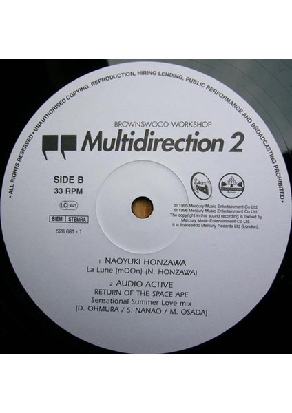 Multidirection 2 - Brownswood Workshop  -  Acid Jazz, Trip Hop, Breakbeat, Conscious, House Vinly Plak Alithestereo