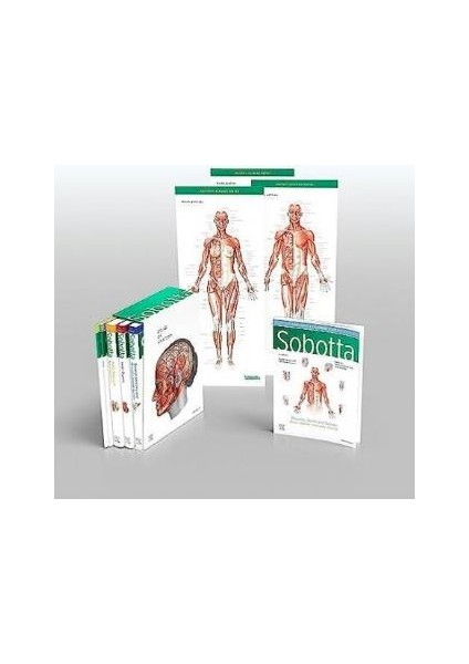 Sobotta Atlas Of Anatomy, 4 Volume Set 17TH Ed.