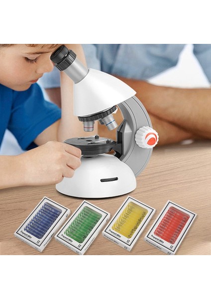 48 Adet Çocuklar Plastik Hazırlanan Mikroskop Slaytları Hayvan Böcekler Çiçekler Örnek Örnekler Stereo Mikroskoplar (Yurt Dışından)
