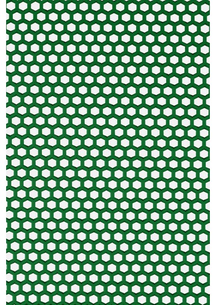 Kaydırmaz Yeşil Bal Petek Paspas EN:90cm 90 x 450 cm