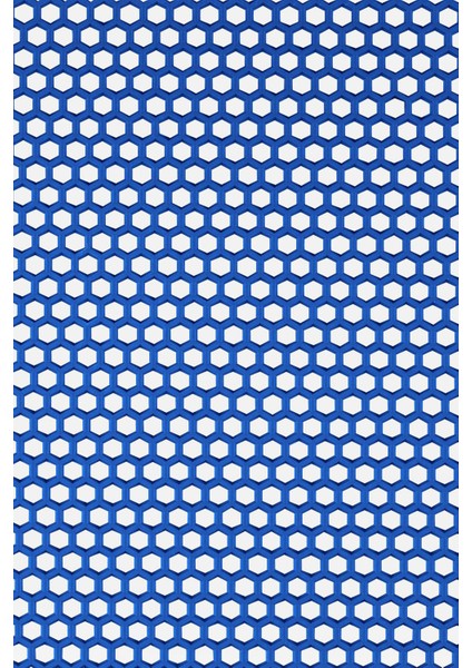 Kaydırmaz Mavi Bal Petek Paspas EN:90cm 90 x 800 cm