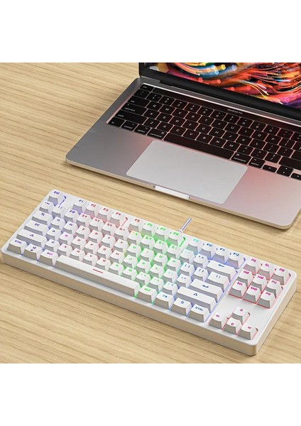 Leaven K870 Blue Switch Mekanik Gaming Oyun Klavyesi Rgb 61 Key Mavi Tuş Type-C Klavye Beyaz modelleri