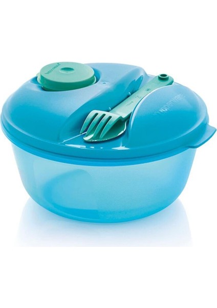 Salata Kabı fiyatları