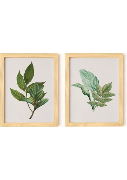 Bohem & Iskandinav Botanical Leaf Doğal Ahşap Çerçeveli 2'li Tablo Seti fiyatları