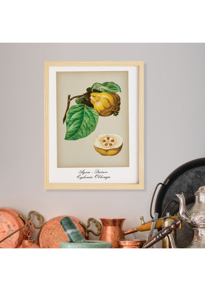 Mutfak Vintage Fruits Ayva-Quince Ahşap Çerçeveli Poster Tekli Dekor Duvar Tablo Seti
