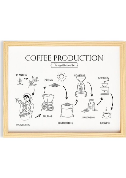 Mutfak Coffee Production Ahşap Çerçeveli Poster Tekli Dekor Duvar Tablo Seti fiyatları